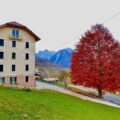 Voltago Agordino BL – Casa singola – Vendita – 510mq –