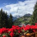 Selva di Cadore BL – 4 o più locali – Vendita – 160mq –