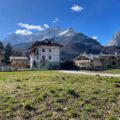 Agordo BL – Terreno Edificabile – Vendita – 1000mq –